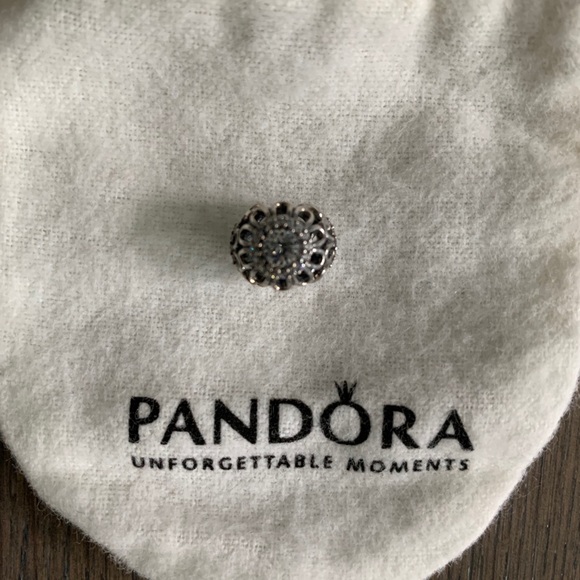 Pandora Jewelry - NWOT- Pandora Charm
